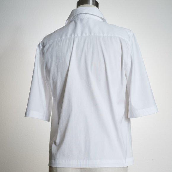 WHBM: Ruffle-Front Poplin Blouse - Picture 5 of 7